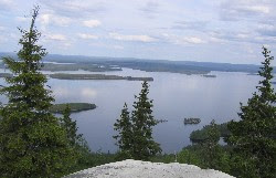 koli